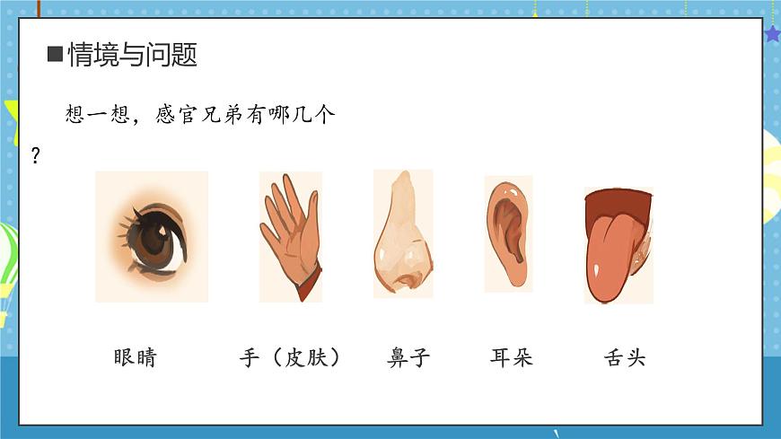 大象版小學科學一年級上冊 2.感官的本領 課件第4頁