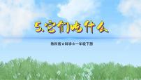 教科版（2024）5.它們吃什么示范課ppt課件