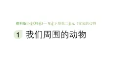 小學科學新教科版一年级下册第二单元第一课《我们周围的动物》教学課件（2025春）