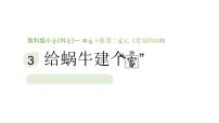 教科版(2024)一年级下册(2024)第二单元 常见的动物3.给蜗牛建个“家”教学课件ppt