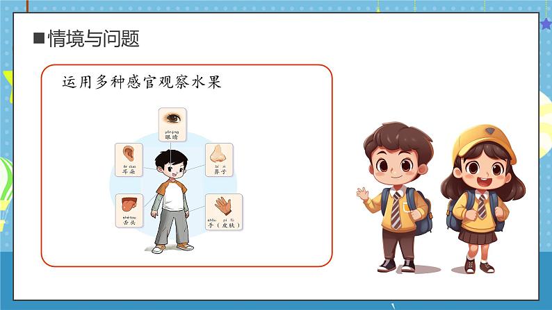 大象版小学科学一年级上册 3.水果分享会 课件第6页
