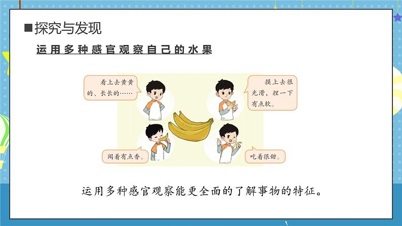 大象版小学科学一年级上册 3.水果分享会 课件第8页
