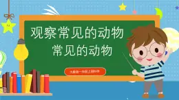 【核心素養(yǎng)】大象版小學(xué)科學(xué)一年級(jí)上冊(cè)     2.常見的動(dòng)物   課件ppt+ 教案