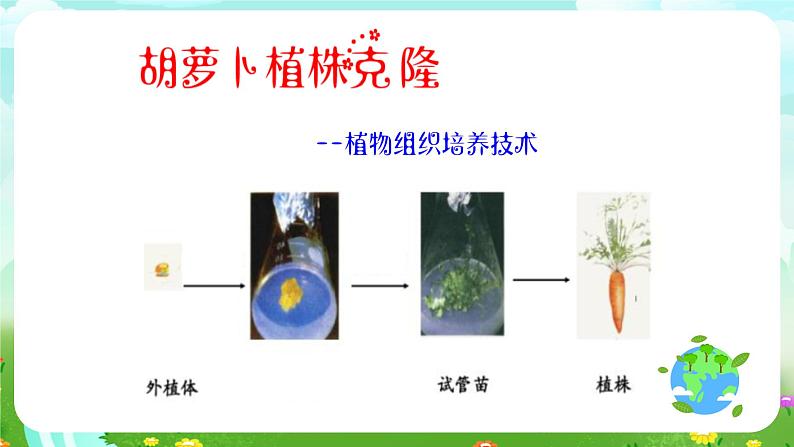 青岛版(五四制)科学五下1.5《生物繁殖新技术》课件第5页