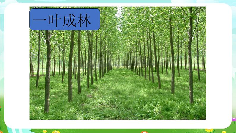 青岛版(五四制)科学五下1.5《生物繁殖新技术》课件第6页
