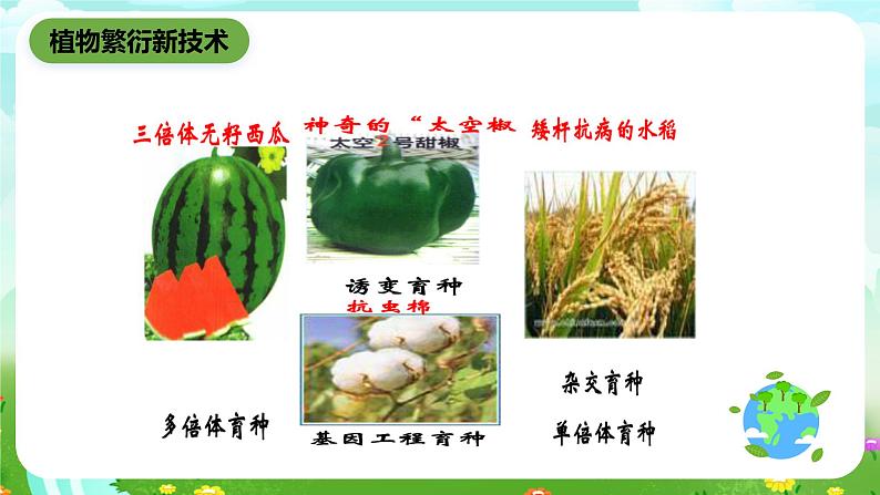 青岛版(五四制)科学五下1.5《生物繁殖新技术》课件第7页