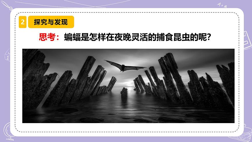 【核心素養(yǎng)】冀人版科學(xué)六年級下冊 3.7蝙蝠與雷達 同步課件第4頁