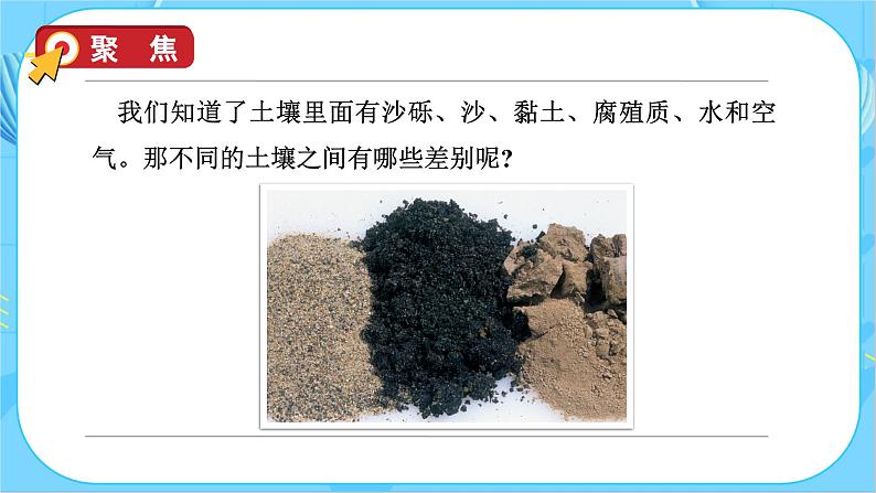 3.7 比较不同的土壤(教学课件)(教科版)第8页