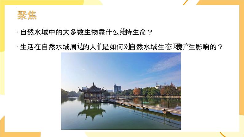 3.7 分析一个实际的环境问题(教学课件)(教科版)第2页