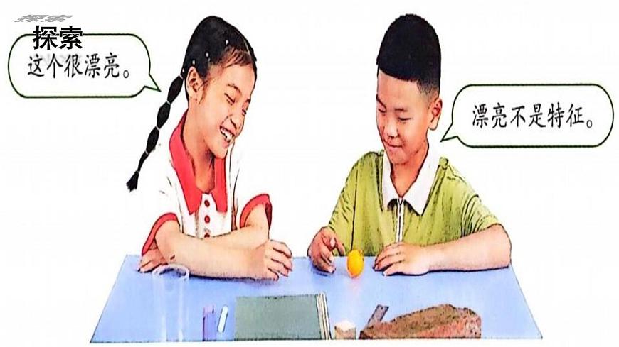 第1課 觀察物體的特征（課件）25春新教材教科版一年級(jí)下冊(cè)第8頁(yè)