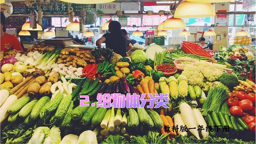 第2課 給物體分類（課件）25春新教材教科版一年級下冊第1頁