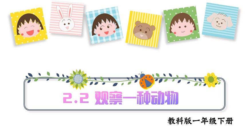 第2.2課 觀察一種動(dòng)物（課件）25春新教材教科版一年級(jí)下冊(cè)第1頁(yè)