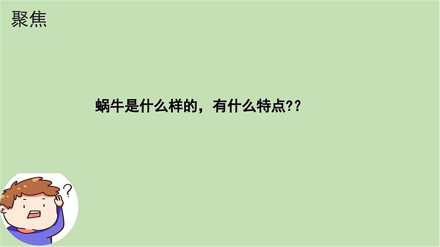第2.2課 觀察一種動(dòng)物（課件）25春新教材教科版一年級(jí)下冊(cè)第3頁(yè)