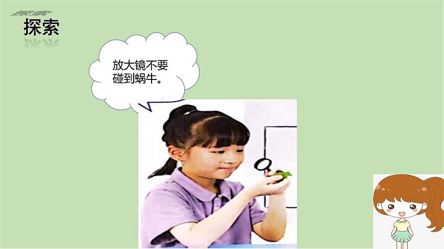 第2.2課 觀察一種動(dòng)物（課件）25春新教材教科版一年級(jí)下冊(cè)第7頁(yè)