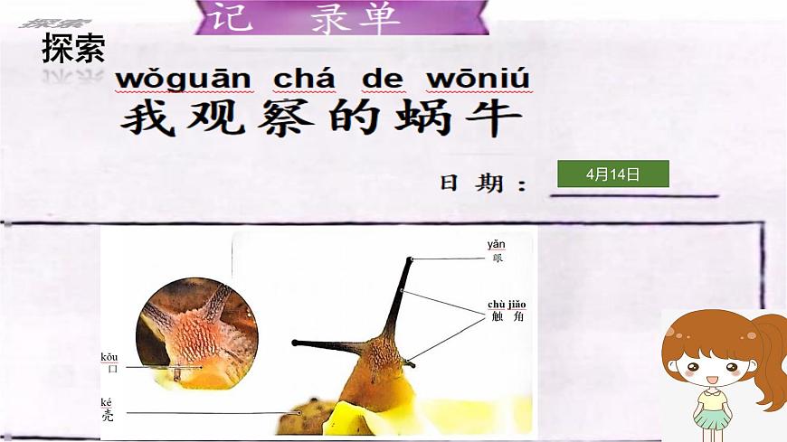 第2.2課 觀察一種動(dòng)物（課件）25春新教材教科版一年級(jí)下冊(cè)第8頁(yè)