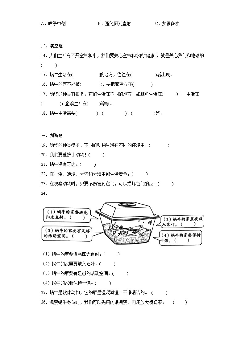 第2.3課 給蝸牛建個“家”（作業(yè)）25春新教材教科版一年級下冊.pptx第3頁