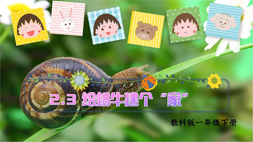 第2.3課 給蝸牛建個(gè)“家”（課件）25春新教材教科版一年級(jí)下冊(cè)第1頁