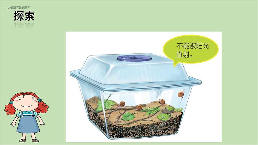 第2.3課 給蝸牛建個(gè)“家”（課件）25春新教材教科版一年級(jí)下冊(cè)第8頁