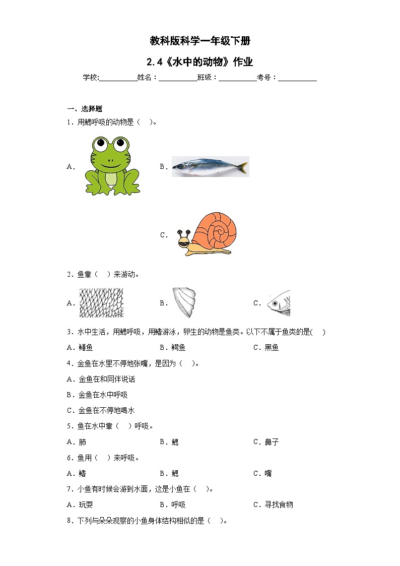 第2.4课 水中的动物(作业)25春新教材教科版一年级下册.pptx第1页