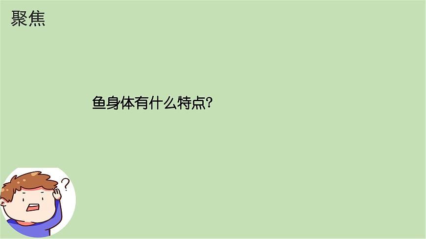 第2.4課 水中的動物（課件）25春新教材教科版一年級下冊第3頁