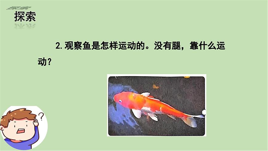 第2.4課 水中的動物（課件）25春新教材教科版一年級下冊第7頁