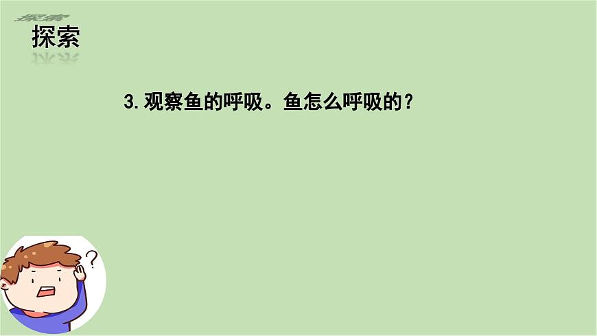 第2.4課 水中的動物（課件）25春新教材教科版一年級下冊第8頁