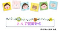 科學(xué)一年級(jí)下冊(cè)（2024）5.它們吃什么集體備課課件ppt