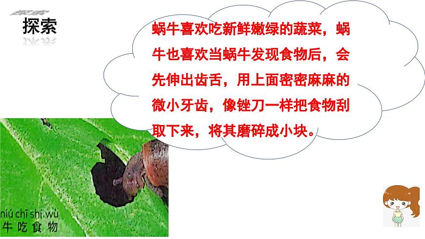 第2.5課 它們吃什么（課件）25春新教材教科版一年級下冊第6頁