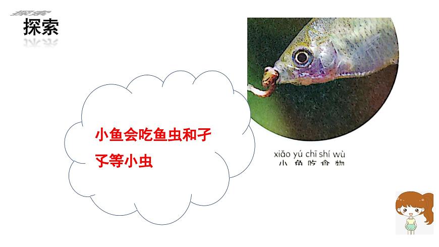 第2.5課 它們吃什么（課件）25春新教材教科版一年級下冊第7頁