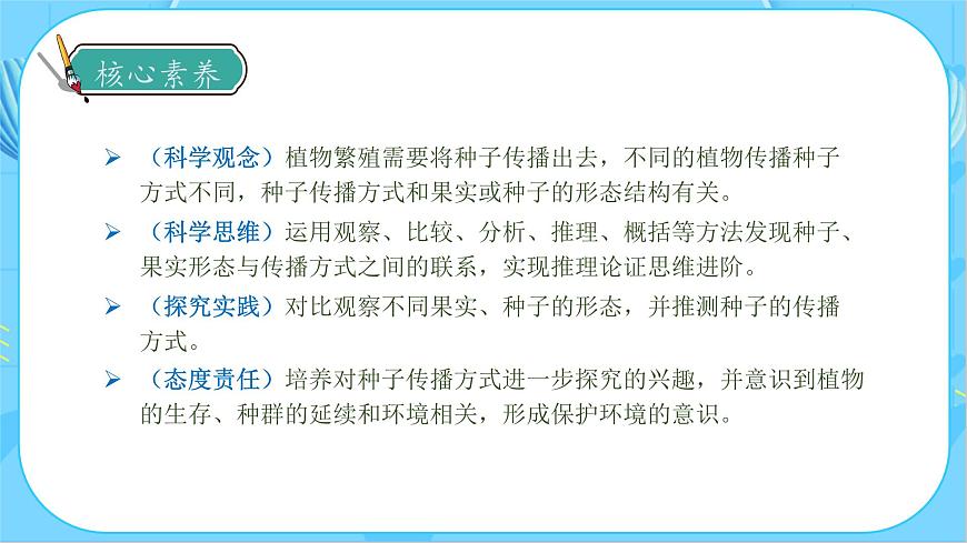 1.7 種子的傳播（教學課件）（教科版）第4頁