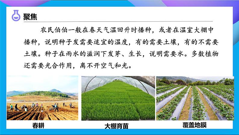 【备课无忧】教科版四下-1.2 种植凤仙花(课件)第7页