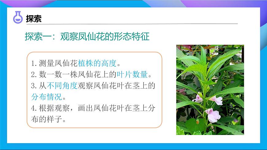 【備課無憂】教科版科學(xué)四下-1.4 莖和葉（課件）第8頁