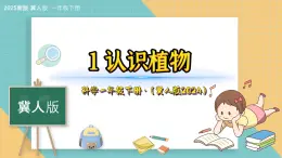 1《认识植物》（课件）科学一年级下册（冀人版2025春）