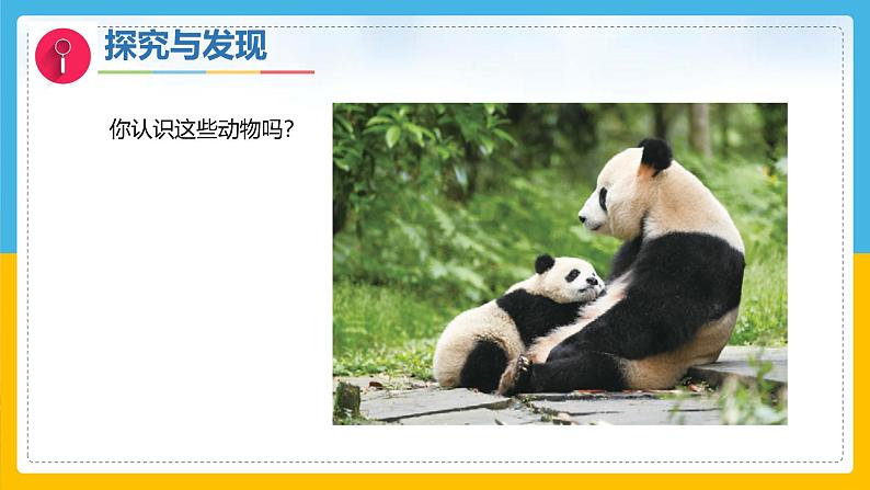 2《认识动物》(课件)科学一年级下册(冀人版2025春)第3页