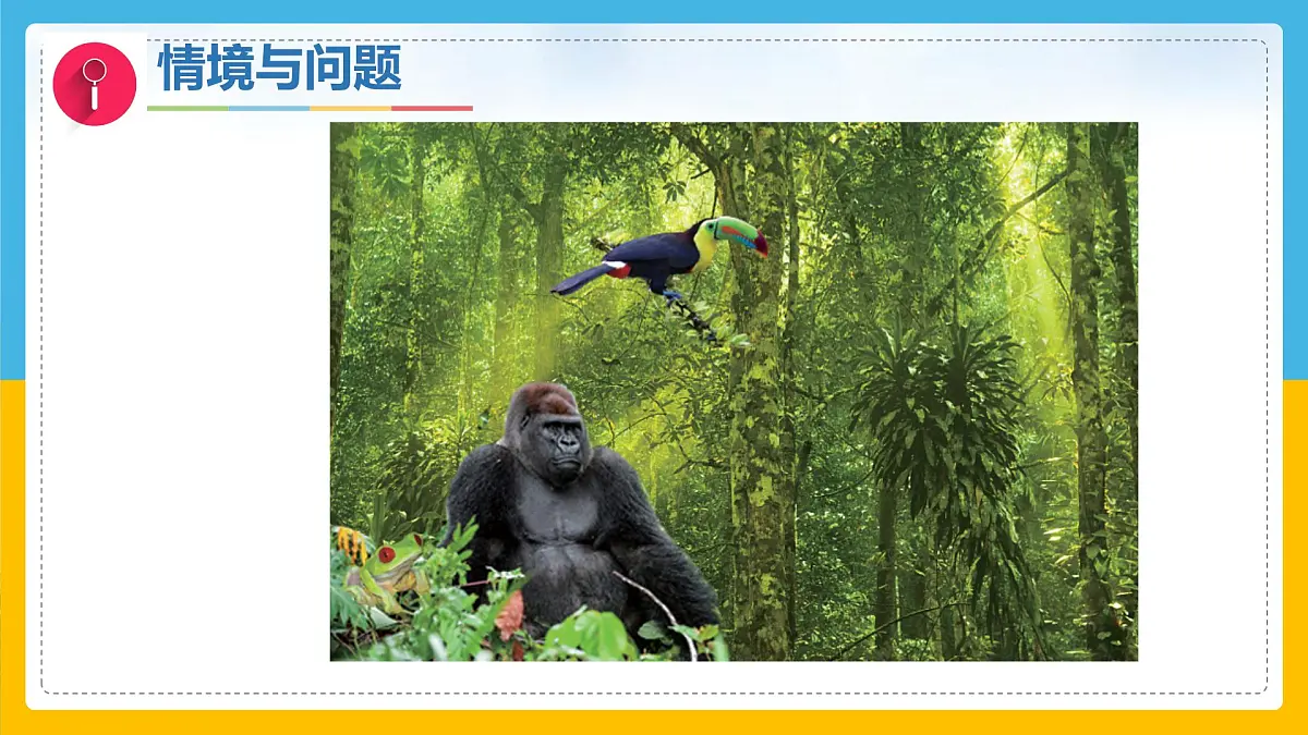 3《比较植物和动物》(课件)科学一年级下册(冀人版2025春)第3页