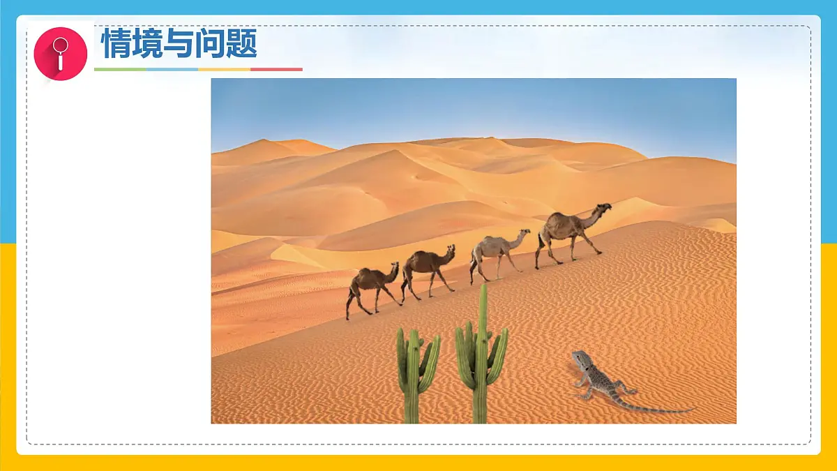 3《比较植物和动物》(课件)科学一年级下册(冀人版2025春)第4页