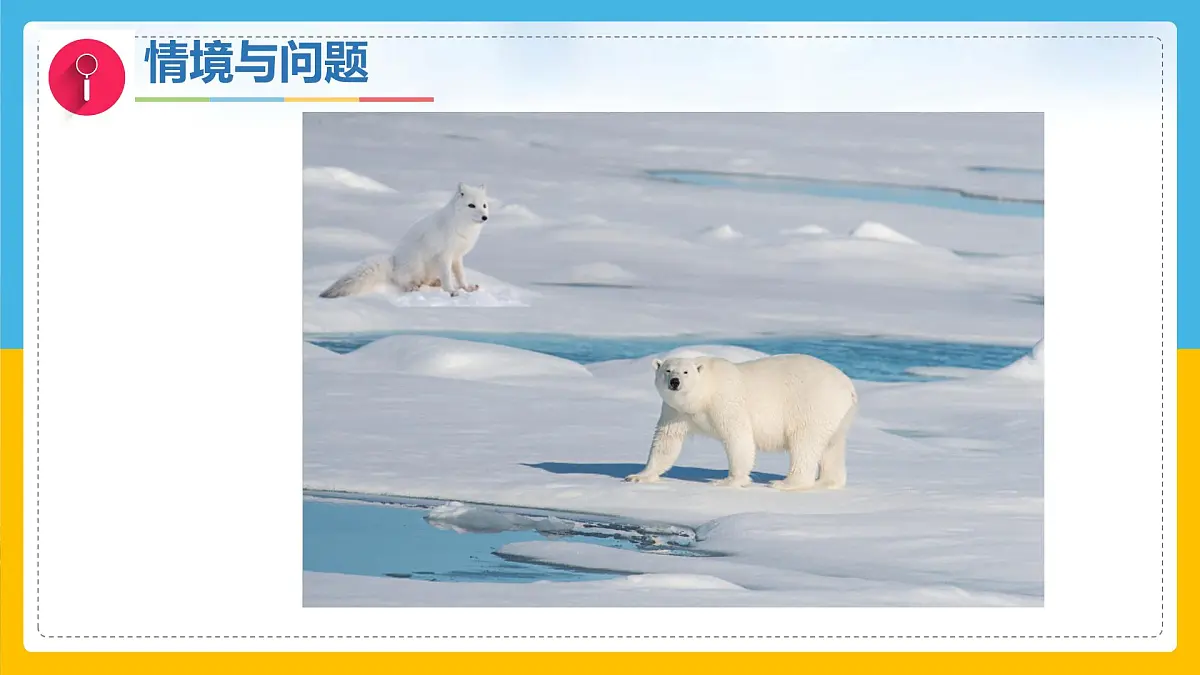 3《比较植物和动物》(课件)科学一年级下册(冀人版2025春)第5页