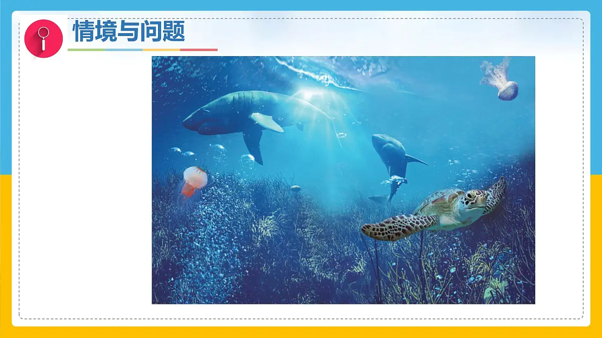 3《比较植物和动物》(课件)科学一年级下册(冀人版2025春)第6页