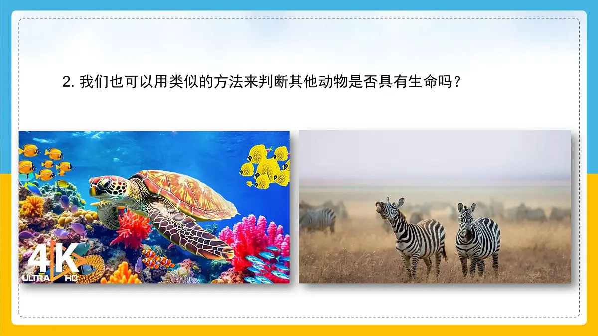 3《比较植物和动物》(课件)科学一年级下册(冀人版2025春)第8页