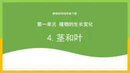 教科版科学四下 1.4 《茎和叶》课件+教学设计（含教学反思）+素材