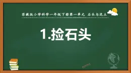 新苏教版一年级科学下册第一单元第1课《捡石头》课件