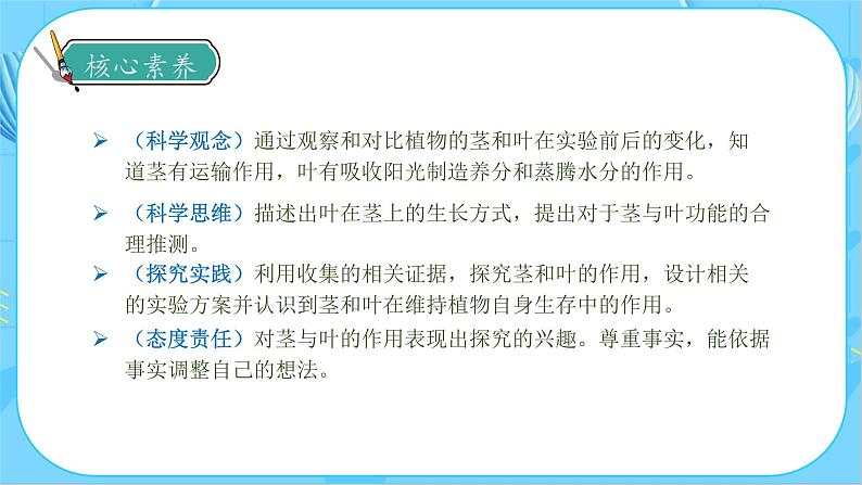1.4 茎和叶(教学课件)(教科版)第4页