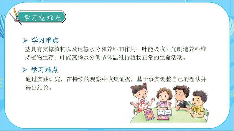 1.4 茎和叶(教学课件)(教科版)第5页