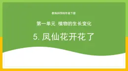 教科版科学四下 1.5 《凤仙花开花了》课件+教学设计（教学反思）+素材