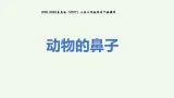3动物的鼻子 课件