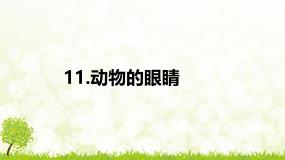 科学二年级上册1 动物的眼睛课文课件ppt