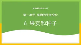 教科版科学四下 1.6 《果实和种子》课件+教学设计（教学反思）+素材