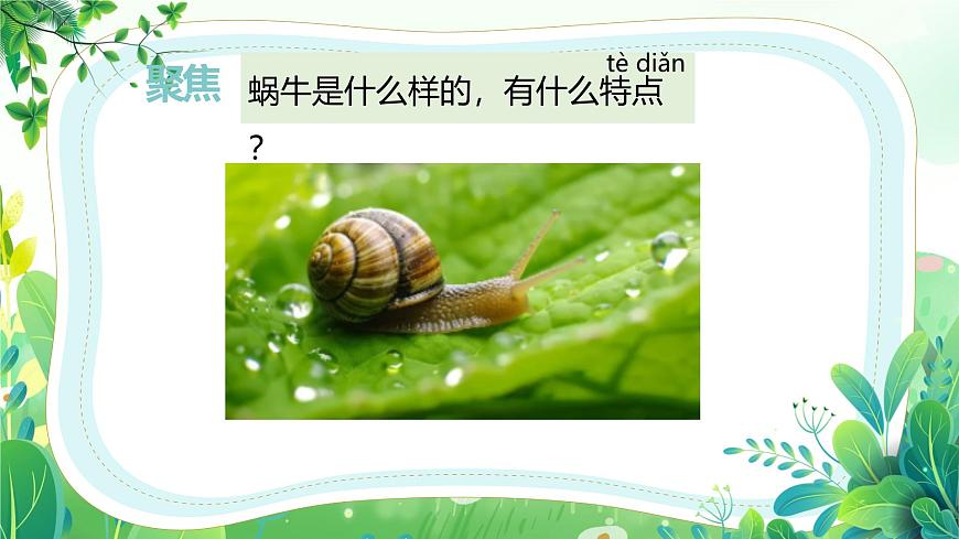 新教科版一年級下冊科學(xué)第二單元第2課《觀察一種動物》課件第3頁