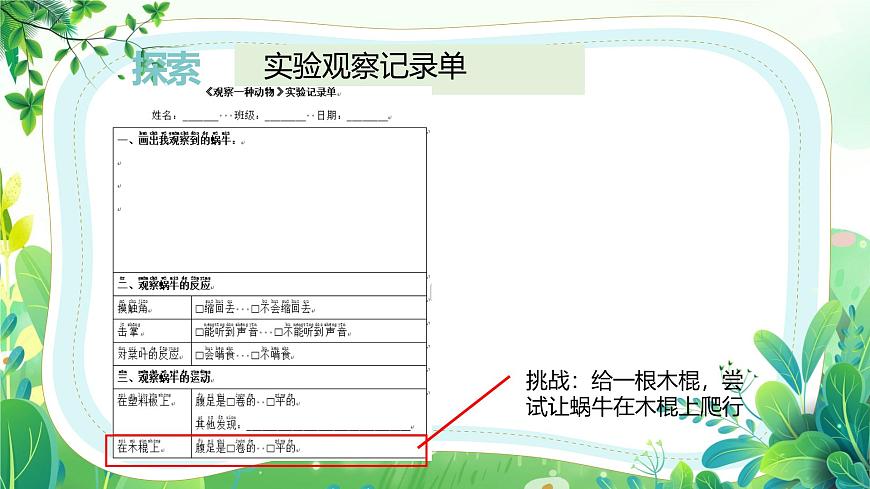 新教科版一年級下冊科學(xué)第二單元第2課《觀察一種動物》課件第5頁