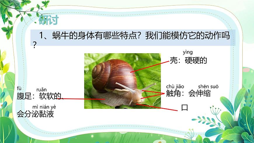 新教科版一年級下冊科學(xué)第二單元第2課《觀察一種動物》課件第6頁